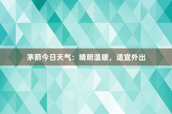 茅箭今日天气：晴朗温暖，适宜外出